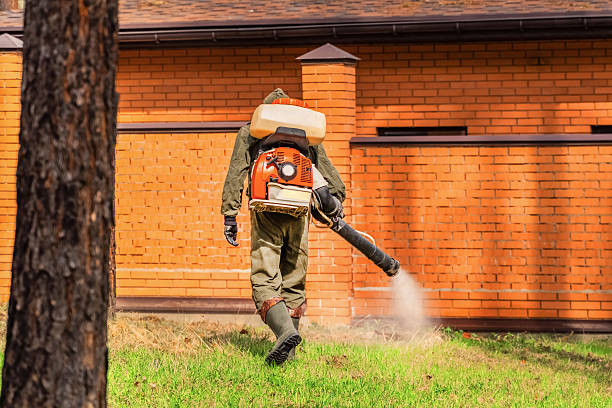 Bed Bug Clearance Verification and Documentation in Imperial